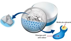 5 recharges neutre pour absorbeur d'humidité Aéro 360° Rubson 20m² + 1 recharge lavande