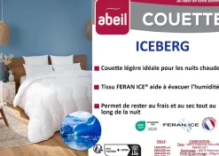 ABEIL Couette légere ICEBERG 200x200cm