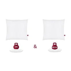 ABEIL Lot de 2 Oreillers DOUBLE CONFORT 100% Coton 60x60cm