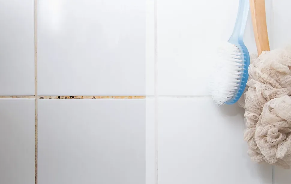 Brosse joints carrelage poils rigide GoodHome blanc l.2.5 cm