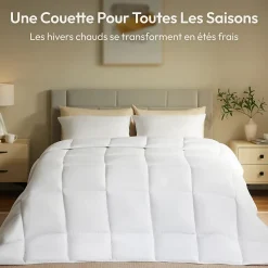 CASABEL Couette 220x240 cm Hiver Légère, 450 GSM Microfibre Douce et Respirante, Thermorégulatrice, Lavable, Pour Lit 2 Personnes
