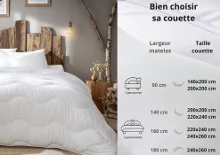 Couette anti-acariens chaude 220 x 240 cm polyester blanc