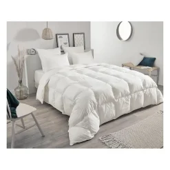 Couette chaude en plumettes et duvet (240x260 cm - Blanc)