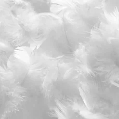 Couette Duvet et Plumes Natura 200x200 cm