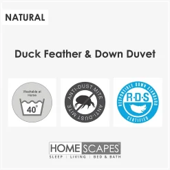 Couette hiver très chaude 200 x 200 cm en duvet et plumes de canard 15 Tog - HOMESCAPES