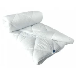 Couette Hotelière Hygiafill 220 x 240 cm pour lit 2 places 140 x 190 cm à 160 x 200 cm