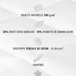 Couette naturelle - Tempérée - 30% duvet 300 g/m² 200x200 cm NEVADA