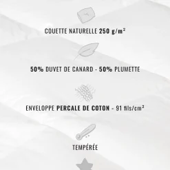 Couette naturelle - Tempérée - 50% duvet 250 g/m² 260x240 cm AVORIAZ
