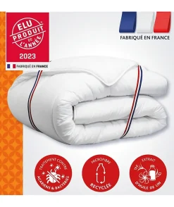 Couette 220x240 cm DODO CHAMPS DE LIN - Chaude - 450G/m² - Couette 2 personnes -Douce et Chaude -Anti-acariens Antibactériens