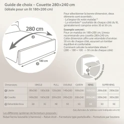 Couette 280x240 cm hiver CAP NORD garnissage naturel duvet d'oie 400g/m2