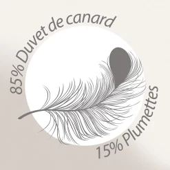 Couette 280x240 cm hiver FINLANDE garnissage naturel duvet de canard 300g/m2