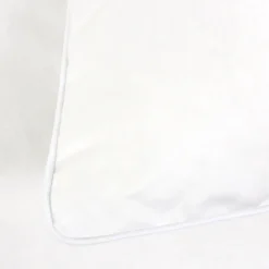 Couette 300x300 cm hiver VELAY LUXE garnissage naturel duvet d'oie 300g/m2