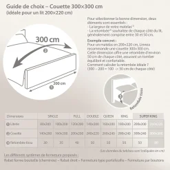 Couette 300x300 cm été CAP NORD garnissage naturel duvet d'oie 250g/m2