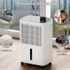 Deshumidificateur - Dry Pro Plus - Blanc - Déshumidifie jusqu'à 16 litres par jour