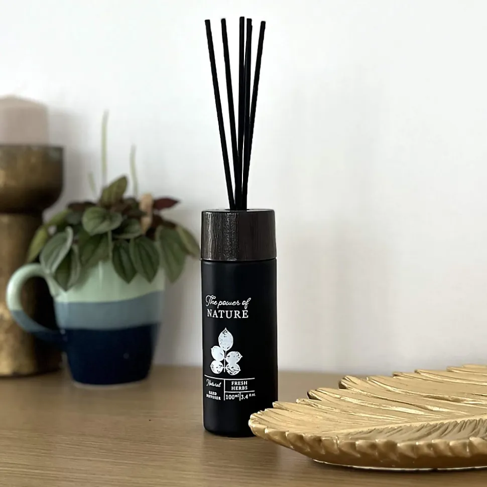 Diffuseur d'Ambiance Parfumé avec 6 Bâtonnets au Parfum d'Herbes Fraîches Idées Cadeaux