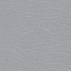 DIRECT COLOR - Recolore le cuir - 250ML GRIS - Les anciens ébénistes