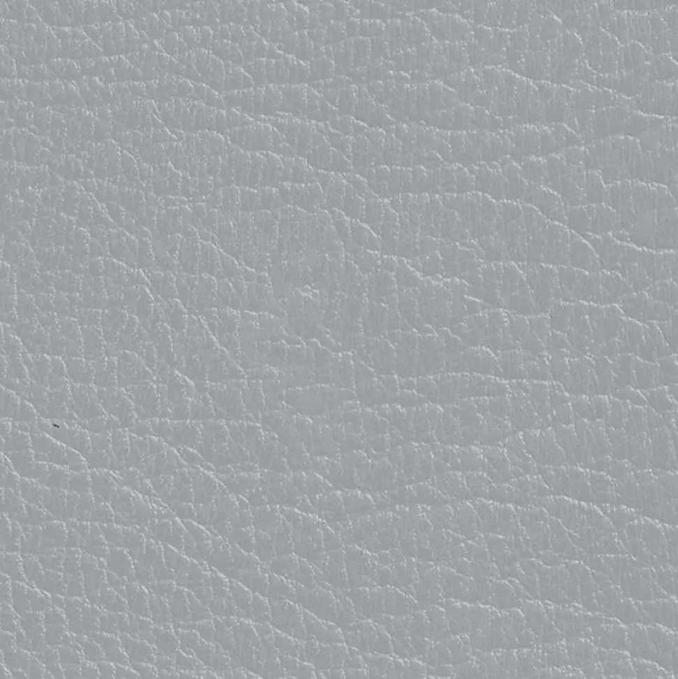 DIRECT COLOR - Recolore le cuir - 250ML GRIS - Les anciens ébénistes