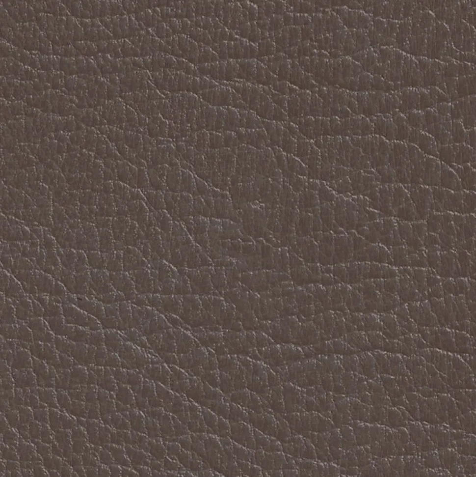 DIRECT COLOR - Recolore le cuir - 250ML CHATAÎGNE - Les anciens ébénistes