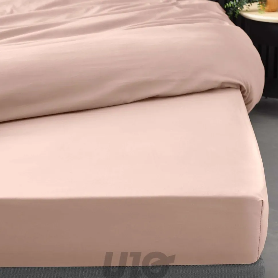 Drap Housse Percale Bonnet 30 Cm 200x160cm Rose
