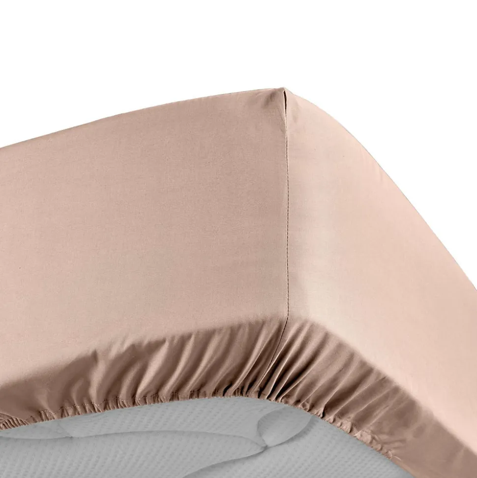 Drap Housse Percale Bonnet 30 Cm 200x160cm Rose