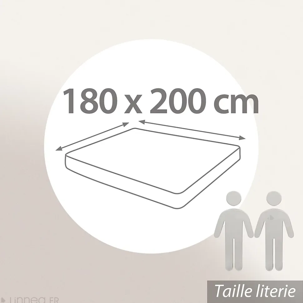 Drap housse uni 180x200 cm bonnet 40 cm percale PRIMO Blanc