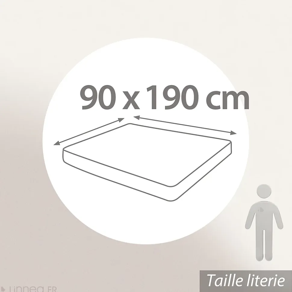 Drap housse 90x190 cm bonnet 30 coton ÉVASION Vert fougère