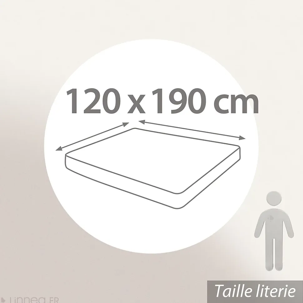 Drap housse 120x190 cm bonnet 30 coton ÉVASION Vert fougère