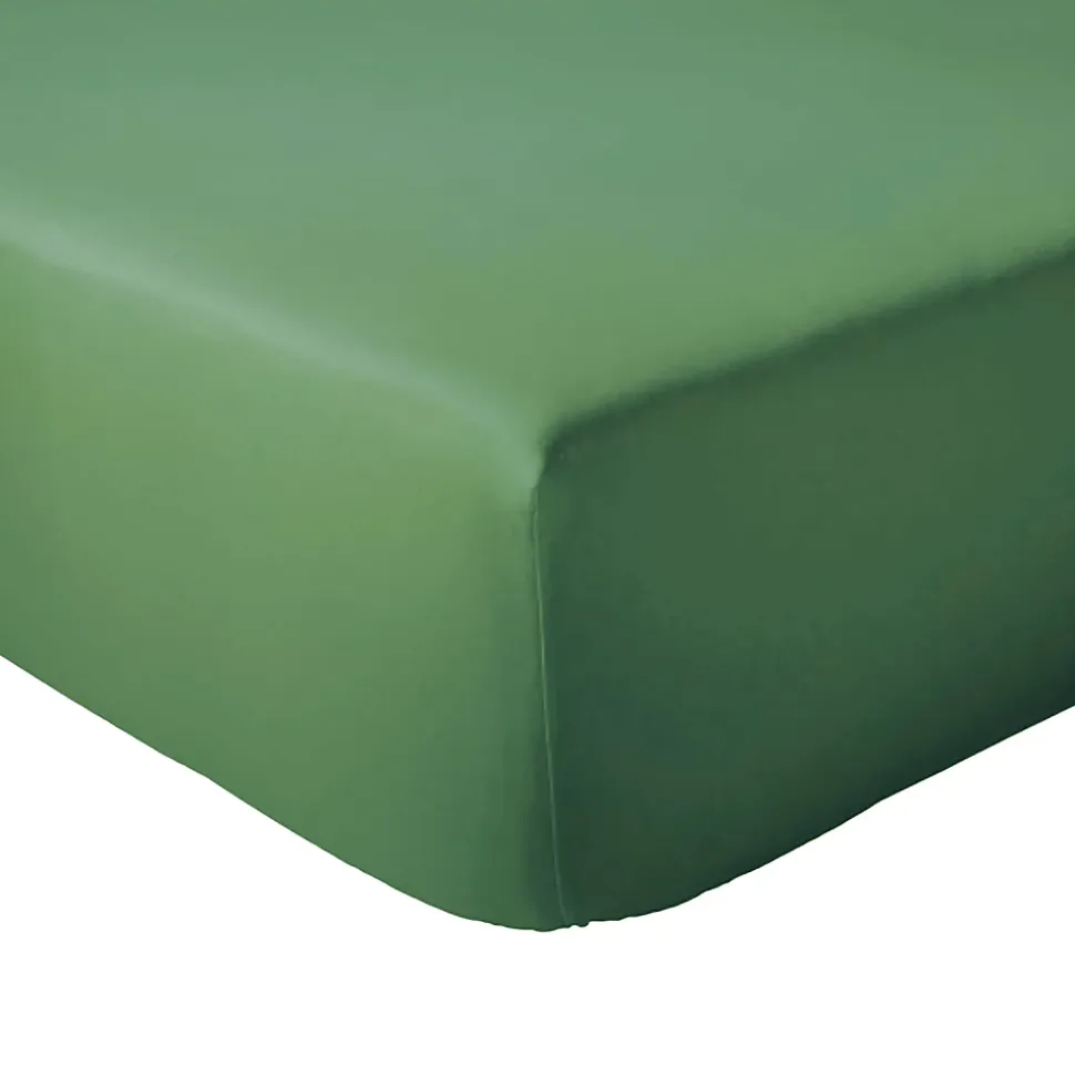 Drap housse 120x190 cm bonnet 30 coton ÉVASION Vert fougère