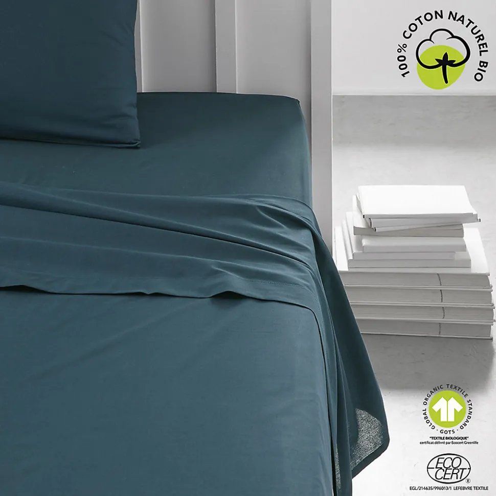 Drap plat 57 fils - 100% coton biologique