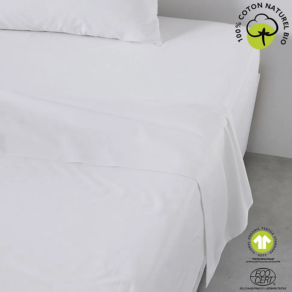 Drap plat 57 fils - 100% coton biologique