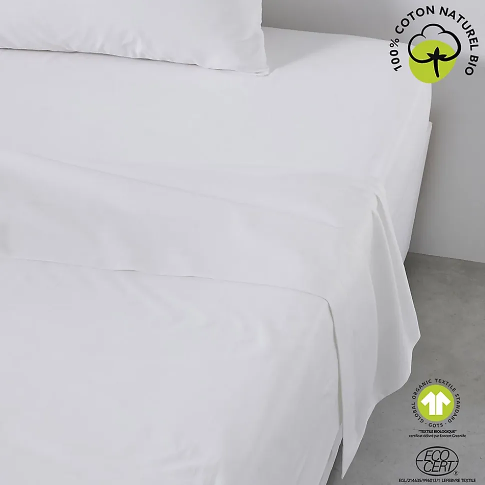 Drap plat 57 fils - 100% coton biologique