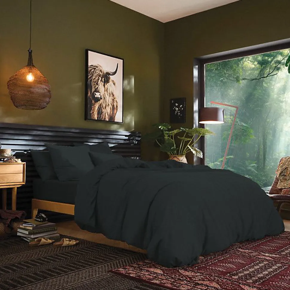 Drap plat Coton Pur Prémium 240 x 300 cm Marron coton