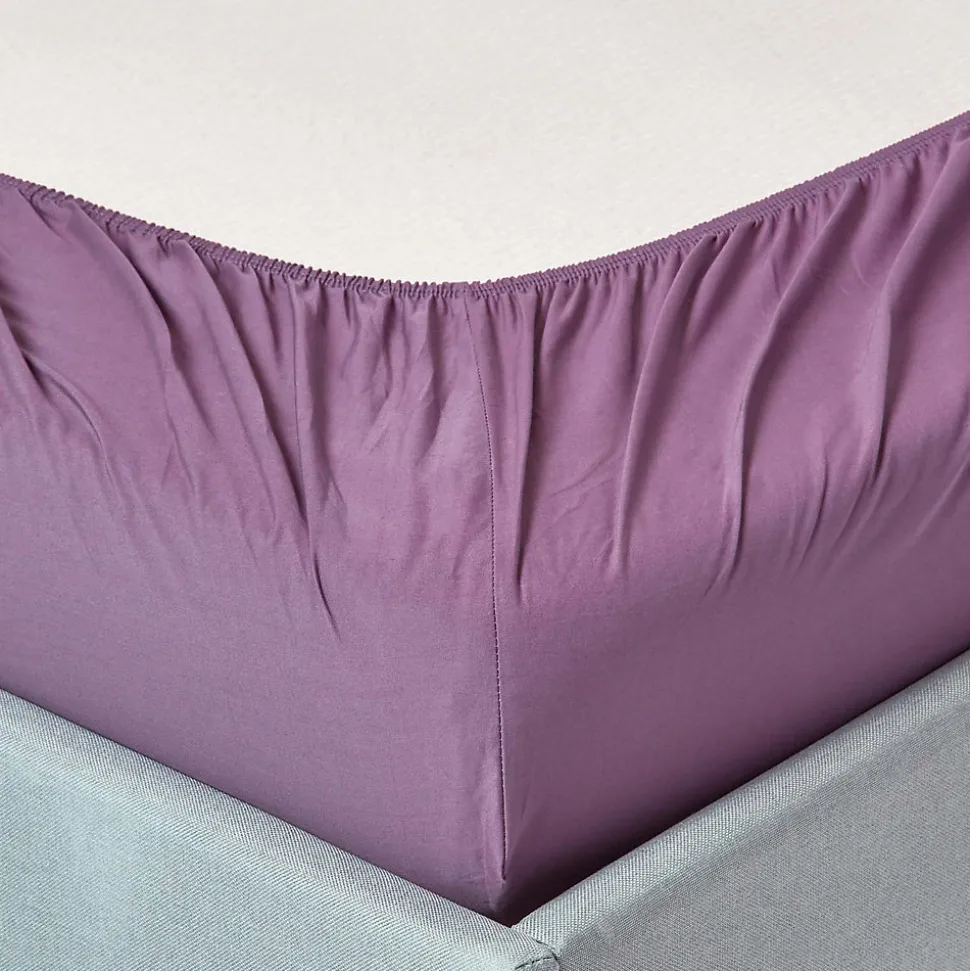 Drap-housse raisin 100% coton égyptien 200 fils 90 x 190 cm - HOMESCAPES