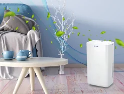 Déshumidificateur avec compresseur 12 l/d