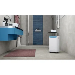 Déshumidificateur Olimpia Splendid AQUARIA S1 14P