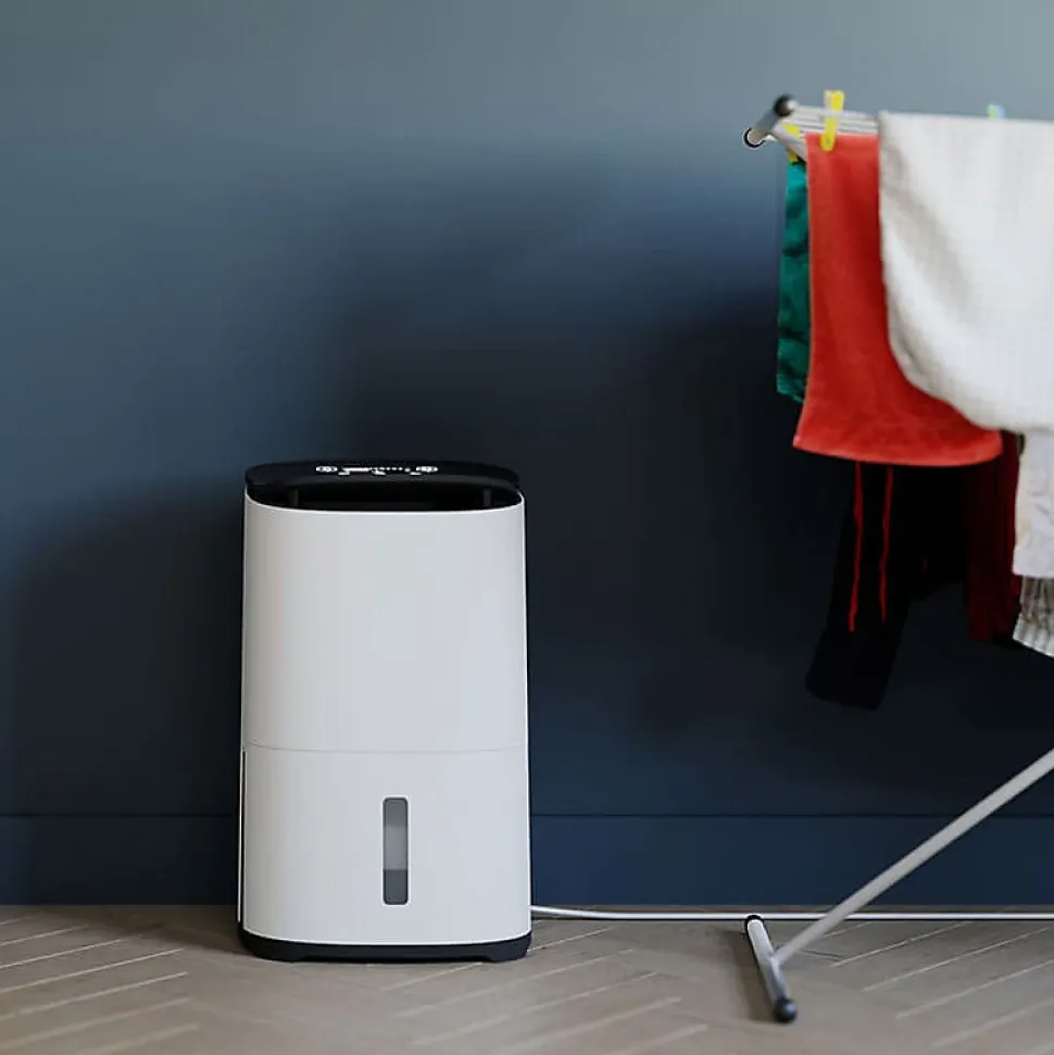 Déshumidificateur purificateur ARETE Two 20L/j