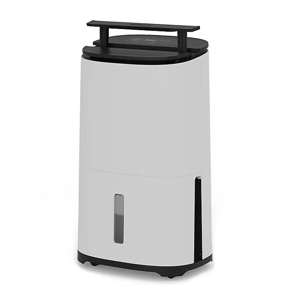 Déshumidificateur purificateur ARETE Two 20L/j