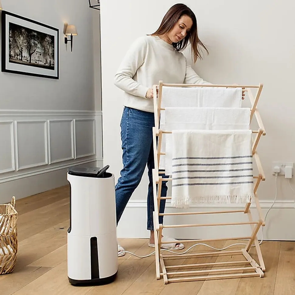 Déshumidificateur purificateur ARETE Two 20L/j