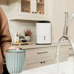 Déshumidificateur purificateur ARETE Two 12L/j