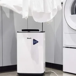 Déshumidificateur Wood's MDX20P 20L/J