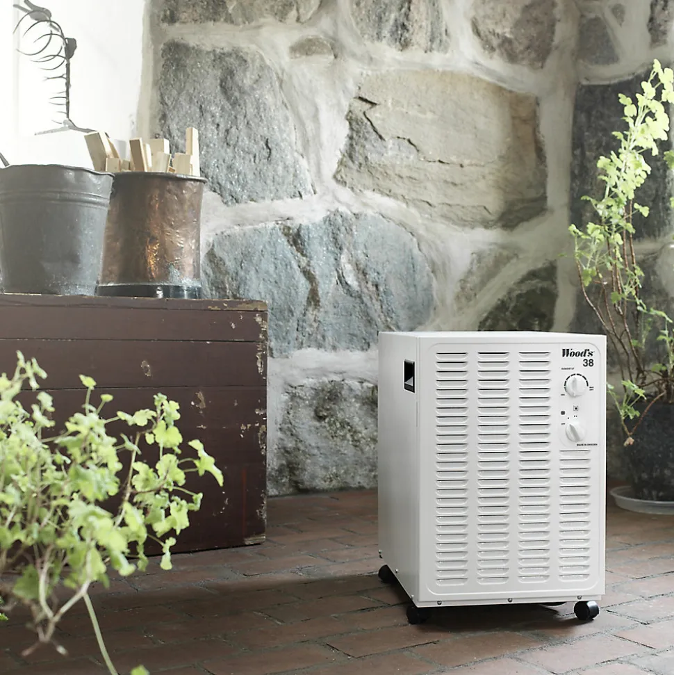 Déshumidificateur Wood's SW38FW 19L/J 140m²