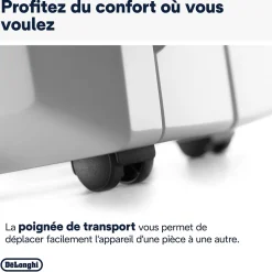 Déshumidificateur Delonghi DD233P 30L/J 60m²