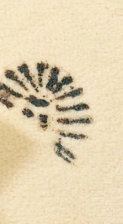 Détachant tissu TexClean 500ml Tissu Matelas Canapé et Tapis Détachant et Nettoyant Professionnel