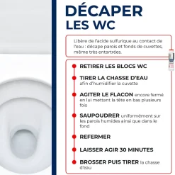 Détartrant en poudre sanitaire Starwax 1 kg