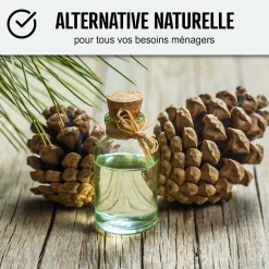 Essence de térébenthine pure gemme bois : TEREBENTHINE 101 - 5 L - ARCANE INDUSTRIES