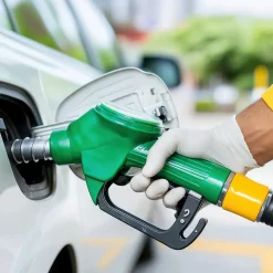 Gants multi-usage Elephant Auto Box latex taille 8 - 10 pièces