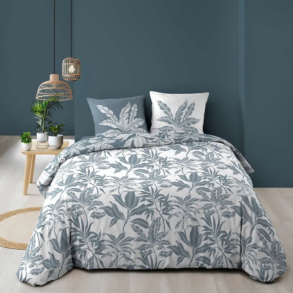 Housse de couette 240x220 + 2 taies HERA 100% coton 57fils