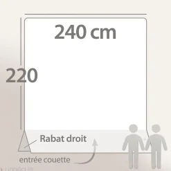 Housse de couette 240x220 cm Satin de coton CONCORDE Gris clair