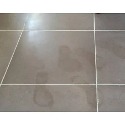 Intens Clean - Nettoyant intensif - Berdy - 5 L