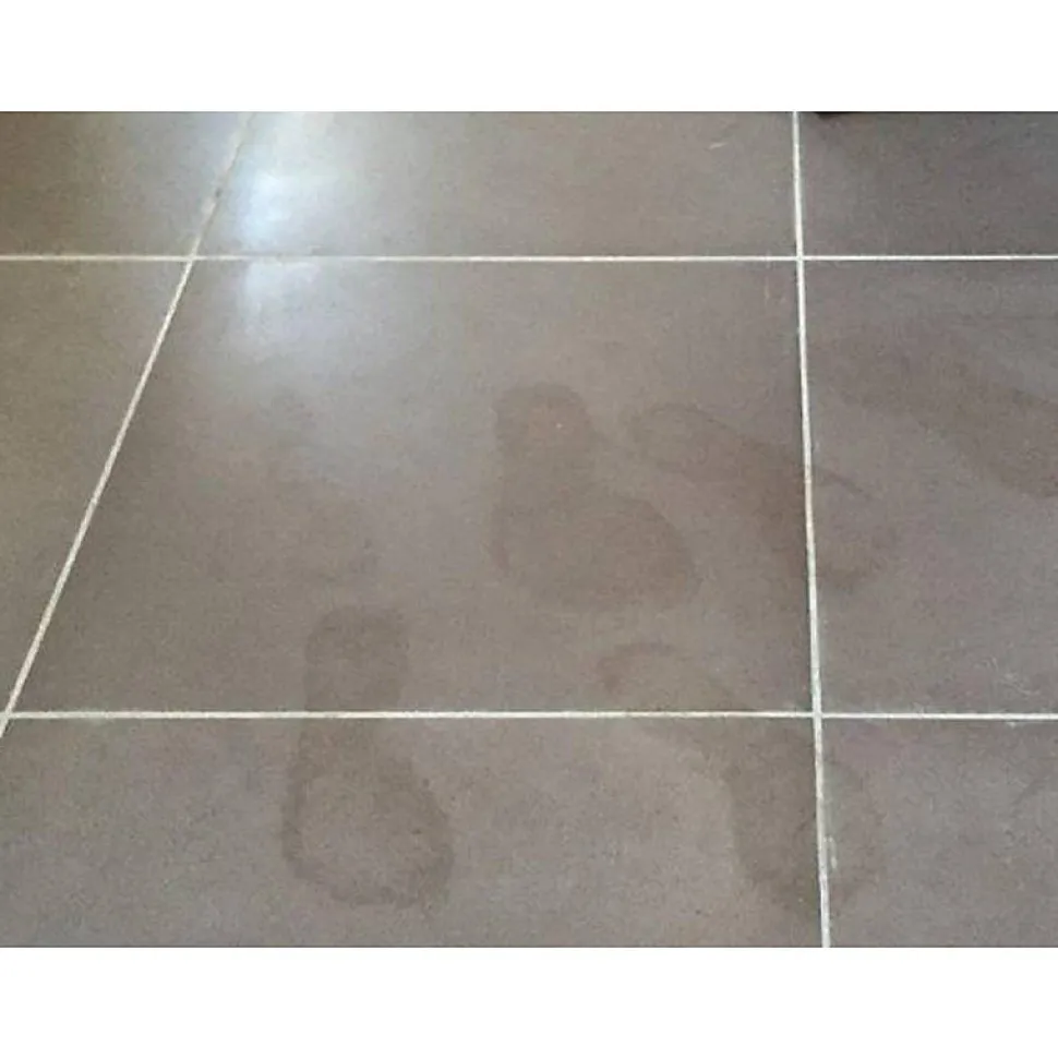 Intens Clean - Nettoyant intensif - Berdy - 5 L